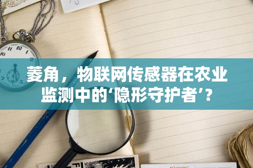 菱角，物联网传感器在农业监测中的‘隐形守护者’？