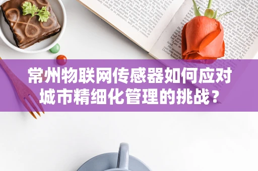 常州物联网传感器如何应对城市精细化管理的挑战？
