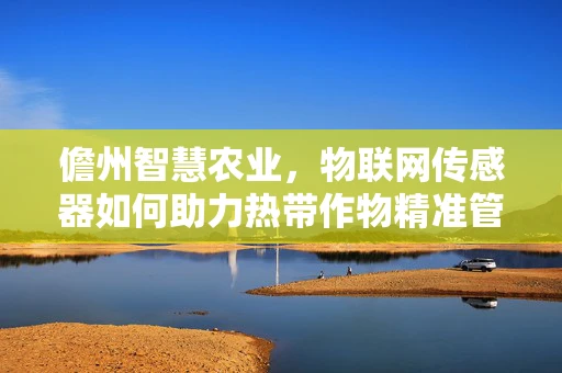 儋州智慧农业，物联网传感器如何助力热带作物精准管理？