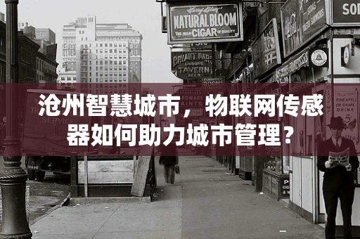 沧州智慧城市，物联网传感器如何助力城市管理？