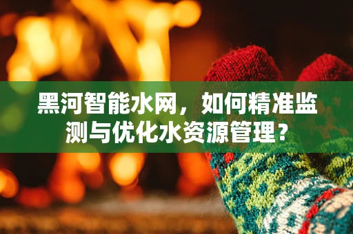 黑河智能水网，如何精准监测与优化水资源管理？