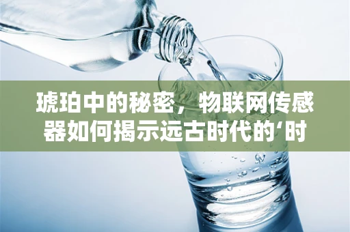 琥珀中的秘密，物联网传感器如何揭示远古时代的‘时间胶囊’？
