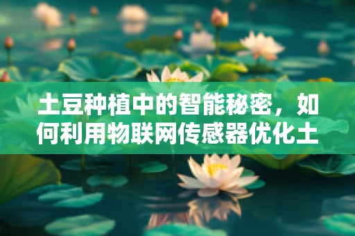 土豆种植中的智能秘密，如何利用物联网传感器优化土豆生长环境？
