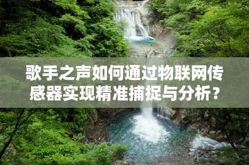 歌手之声如何通过物联网传感器实现精准捕捉与分析？