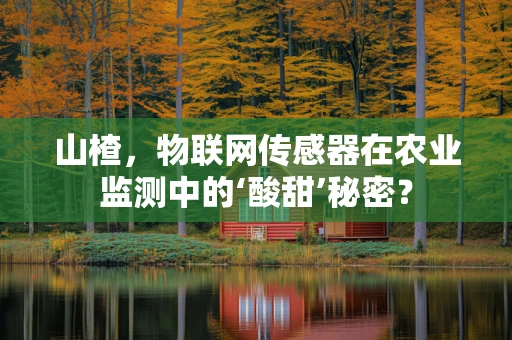山楂，物联网传感器在农业监测中的‘酸甜’秘密？