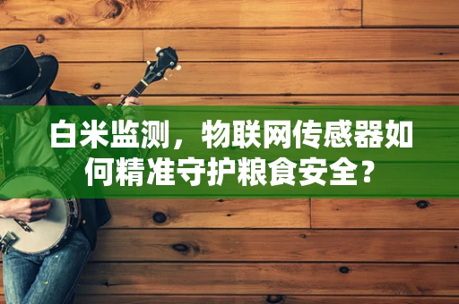 白米监测，物联网传感器如何精准守护粮食安全？
