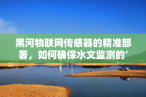 黑河物联网传感器的精准部署，如何确保水文监测的‘滴水不漏’？