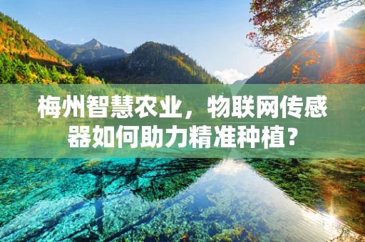 梅州智慧农业，物联网传感器如何助力精准种植？