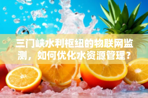 三门峡水利枢纽的物联网监测，如何优化水资源管理？