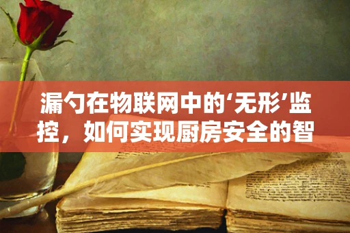 漏勺在物联网中的‘无形’监控，如何实现厨房安全的智能监测？
