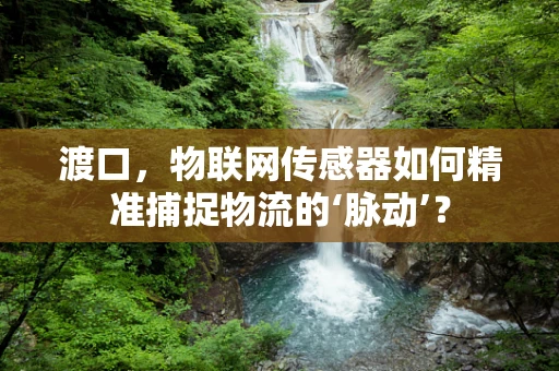 渡口，物联网传感器如何精准捕捉物流的‘脉动’？