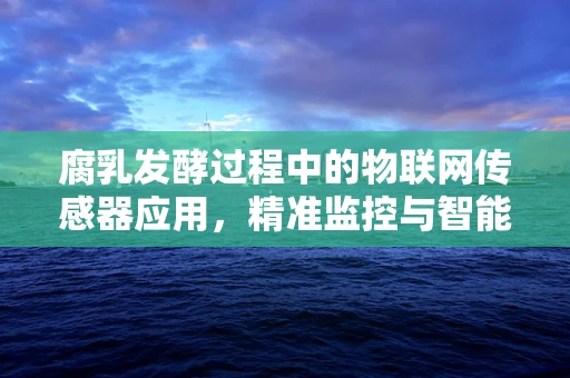 腐乳发酵过程中的物联网传感器应用，精准监控与智能调控