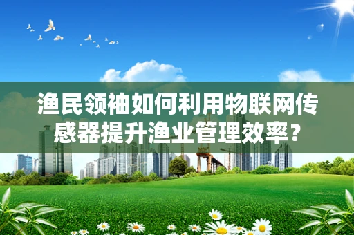 渔民领袖如何利用物联网传感器提升渔业管理效率？