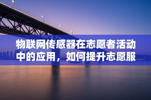 物联网传感器在志愿者活动中的应用，如何提升志愿服务效率与安全性？