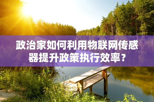 政治家如何利用物联网传感器提升政策执行效率？