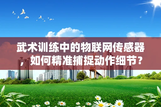 武术训练中的物联网传感器，如何精准捕捉动作细节？