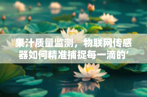 果汁质量监测，物联网传感器如何精准捕捉每一滴的‘鲜’？