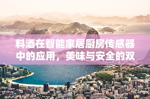 料酒在智能家居厨房传感器中的应用，美味与安全的双重保障？