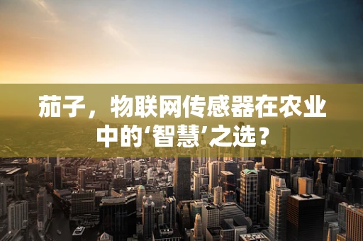 茄子，物联网传感器在农业中的‘智慧’之选？