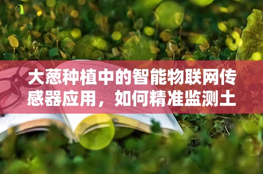 大葱种植中的智能物联网传感器应用，如何精准监测土壤湿度？