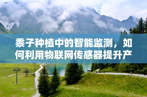黍子种植中的智能监测，如何利用物联网传感器提升产量？