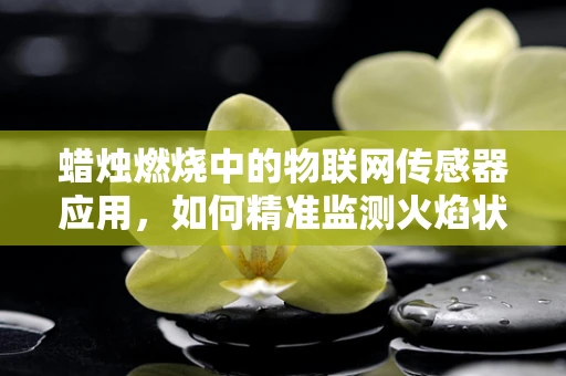 蜡烛燃烧中的物联网传感器应用，如何精准监测火焰状态？