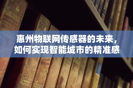惠州物联网传感器的未来，如何实现智能城市的精准感知？