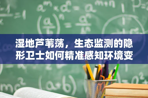 湿地芦苇荡，生态监测的隐形卫士如何精准感知环境变化？