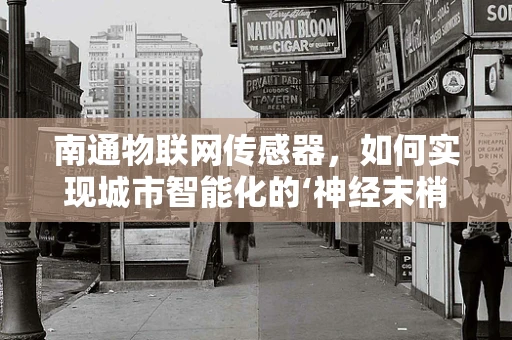南通物联网传感器，如何实现城市智能化的‘神经末梢’？