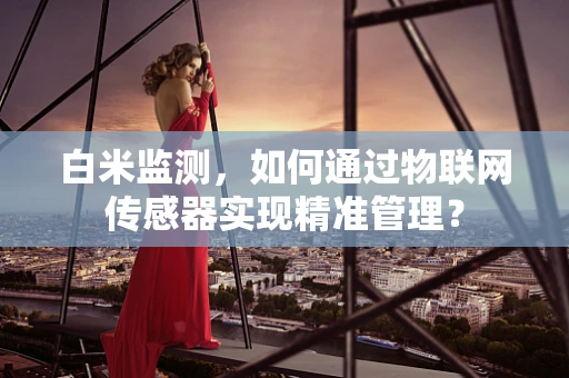 白米监测，如何通过物联网传感器实现精准管理？
