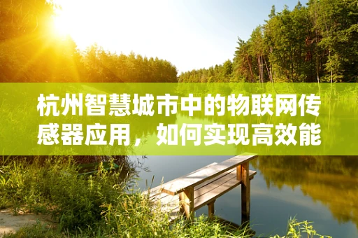 杭州智慧城市中的物联网传感器应用，如何实现高效能低耗能？