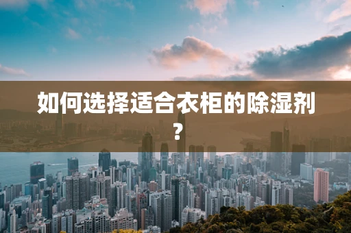 如何选择适合衣柜的除湿剂？