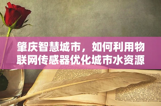 肇庆智慧城市，如何利用物联网传感器优化城市水资源管理？