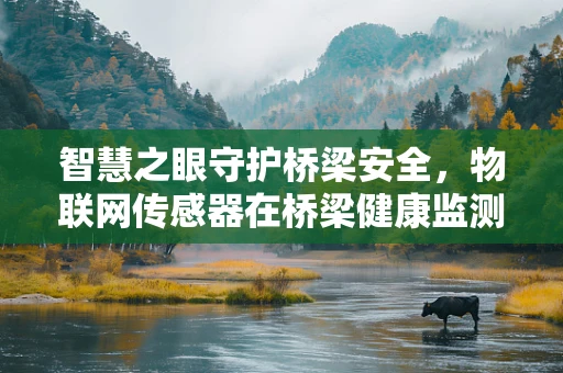 智慧之眼守护桥梁安全，物联网传感器在桥梁健康监测中的应用挑战