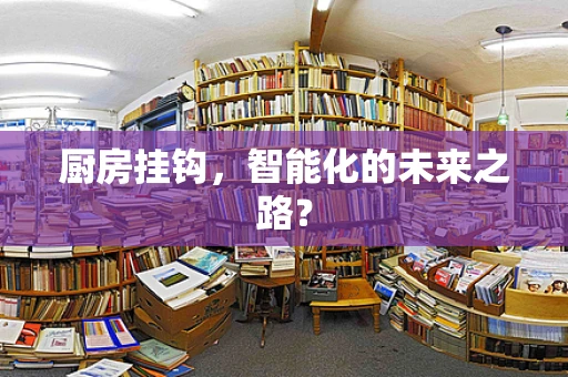 厨房挂钩，智能化的未来之路？