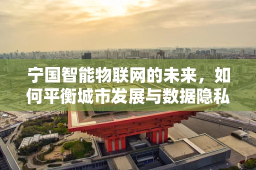 宁国智能物联网的未来，如何平衡城市发展与数据隐私保护？