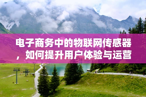 电子商务中的物联网传感器，如何提升用户体验与运营效率？