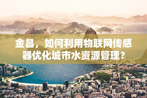 金昌，如何利用物联网传感器优化城市水资源管理？