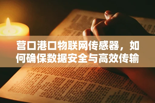 营口港口物联网传感器，如何确保数据安全与高效传输？