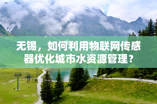 无锡，如何利用物联网传感器优化城市水资源管理？