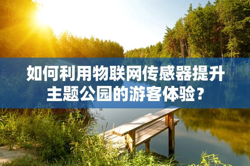 如何利用物联网传感器提升主题公园的游客体验？