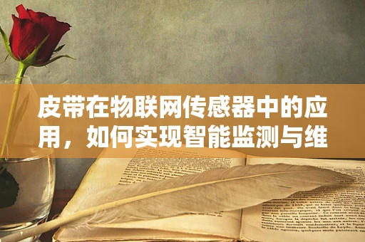 皮带在物联网传感器中的应用，如何实现智能监测与维护？