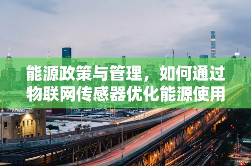 能源政策与管理，如何通过物联网传感器优化能源使用？