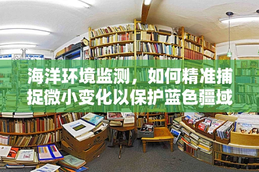 海洋环境监测，如何精准捕捉微小变化以保护蓝色疆域？