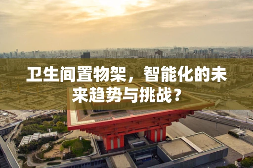 卫生间置物架，智能化的未来趋势与挑战？