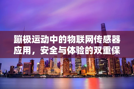 蹦极运动中的物联网传感器应用，安全与体验的双重保障？