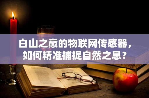白山之巅的物联网传感器，如何精准捕捉自然之息？