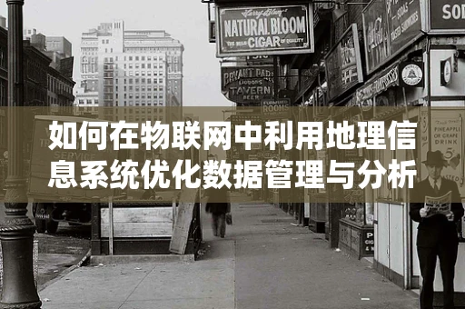 如何在物联网中利用地理信息系统优化数据管理与分析？