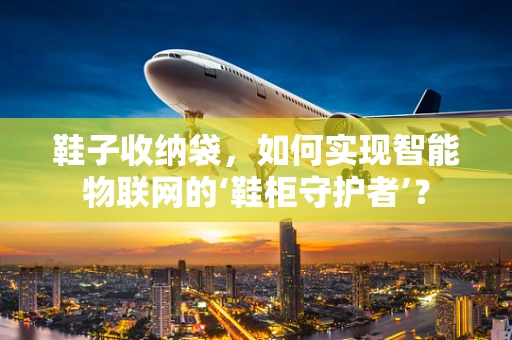 鞋子收纳袋，如何实现智能物联网的‘鞋柜守护者’？