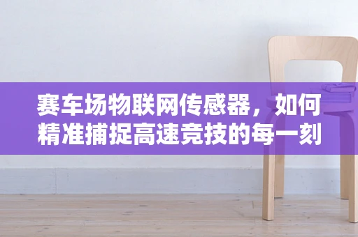 赛车场物联网传感器，如何精准捕捉高速竞技的每一刻？